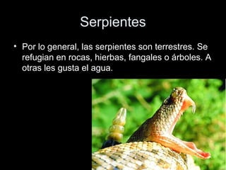 Serpientes
• Por lo general, las serpientes son terrestres. Se
  refugian en rocas, hierbas, fangales o árboles. A
  otras les gusta el agua.
 