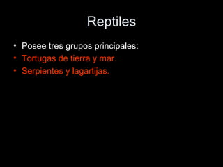 Reptiles
• Posee tres grupos principales:
• Tortugas de tierra y mar.
• Serpientes y lagartijas.
 
