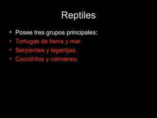 Reptiles
•   Posee tres grupos principales:
•   Tortugas de tierra y mar.
•   Serpientes y lagartijas.
•   Cocodrilos y caimanes.
 
