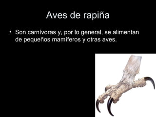 Aves de rapiña
• Son carnívoras y, por lo general, se alimentan
  de pequeños mamíferos y otras aves.
 
