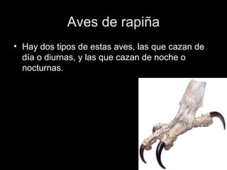 Aves de rapiña
• Hay dos tipos de estas aves, las que cazan de
  día o diurnas, y las que cazan de noche o
  nocturnas.
 