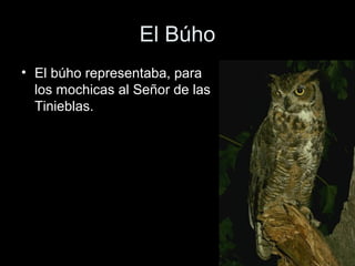 El Búho
• El búho representaba, para
  los mochicas al Señor de las
  Tinieblas.
 