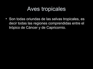 Aves tropicales
• Son todas oriundas de las selvas tropicales, es
  decir todas las regiones comprendidas entre el
  trópico de Cáncer y de Capricornio.
 