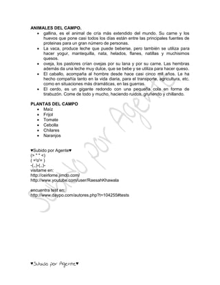 ANIMALES DEL CAMPO.
   gallina, es el animal de cría más extendido del mundo. Su carne y los
     huevos que pone casi todos los días están entre las principales fuentes de
     proteinas para un gran número de personas.
   La vaca, produce leche que puede beberse, pero también se utiliza para
     hacer yogur, mantequilla, nata, helados, flanes, natillas y muchisimos
     quesos.
   oveja, los pastores crían ovejas por su lana y por su carne. Las hembras
     además da una leche muy dulce, que se bebe y se utiliza para hacer queso.
   El caballo, acompaña al hombre desde hace casi cinco mil años. Le ha
     hecho compañía tanto en la vida diaria, para el transporte, agricultura, etc.
     como en situaciones más dramáticas, en las guerras.
   El cerdo, es un gigante redondo con una pequeña cola en forma de
     tirabuzón. Come de todo y mucho, haciendo ruidos, gruñendo y chillando.

PLANTAS DEL CAMPO
   Maíz
   Frijol
   Tomate
   Cebolla
   Chilares
   Naranjos


♥Subido por Agente♥
(> " " <)
( ='o'= )
-(,,)-(,,)-
visitame en:
http://ceirlome.jimdo.com/
http://www.youtube.com/user/RaesahKhawala

encuentra test en:
http://www.daypo.com/autores.php?t=104255#tests




♥                      ♥
 