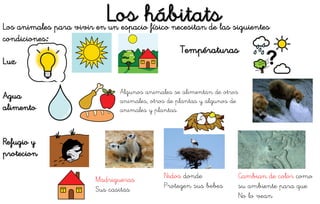 Los hábitatsLos animales para vivir en un espacio físico necesitan de las siguientes
condiciones:
Luz
Agua
alimento
Refugio y
protecion
Températuras
Algunos animales se alimentan de otros
animales, otros de plantas y algunos de
animales y plantas.
Madrigueras
Sus casitas
Nidos donde
Protegen sus bebes
Cambian de color como
su ambiente para que
No lo vean
 