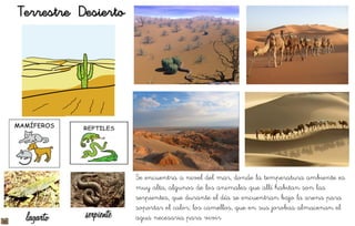 Terrestre Desierto
Se encuentra a nivel del mar, donde la temperatura ambiente es
muy alta, algunos de los animales que allí habitan son las
serpientes, que durante el día se encuentran bajo la arena para
soportar el calor; los camellos, que en sus jorobas almacenan el
agua necesaria para vivir
 