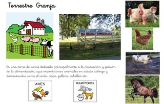 Terrestre Granja
Es una zona de tierra dedicada principalmente a la producción y gestión
de la alimentación, aquí encontramos animales en estado salvaje y
domesticados como el cerdo, vaca, gallina, caballos etc…
 