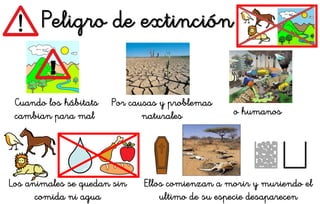 Peligro de extinción
Cuando los hábitats
cambian para mal
!
Por causas y problemas
naturales o humanos
Los animales se quedan sin
comida ni agua
Ellos comienzan a morir y muriendo el
ultimo de su especie desaparecen
 