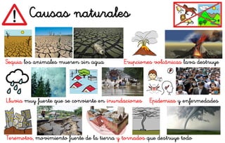 Causas naturales
Sequia los animales mueren sin agua Erupciones volcánicas lava destruye
Lluvia muy fuerte que se convierte en inundaciones Epidemias y enfermedades
Teremotos, movimiento fuerte de la tierra y tornados que destruye todo
 