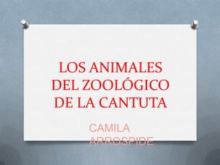 LOS ANIMALES
DEL ZOOLÓGICO
DE LA CANTUTA
    CAMILA
    ARROSPIDE
 