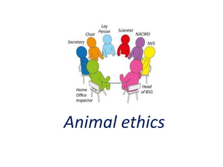 Animal ethics
 