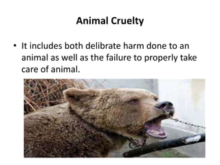 Animal Cruelty
• It includes both delibrate harm done to an
animal as well as the failure to properly take
care of animal.
 