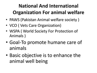 National And International
Organization For animal welfare
• PAWS (Pakistan Animal welfare society )
• VCO ( Vets Care Organization)
• WSPA ( World Society For Protection of
Animals )
• Goal-To promote humane care of
animals
• Basic objective is to enhance the
animal well being
 