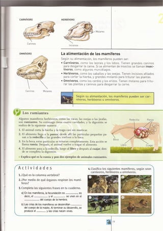 ANIMALES VERTEBRADOS