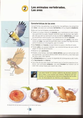 ANIMALES VERTEBRADOS