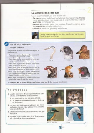 ANIMALES VERTEBRADOS