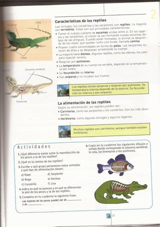 ANIMALES VERTEBRADOS