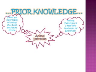 …Prior Knowledge…There are many types of animal that have excretory systemAnimal Excretion is a type very important of Excretion.Animal Excretion