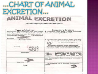 …CHART OF ANIMAL EXCRETION…