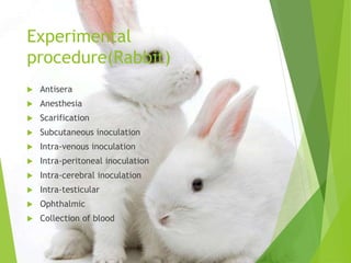 laboratory animals | PPTX