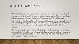 WHAT IS ANIMAL TESTING?
• “Animal testing or animal experimentation is the use of animals in experiments and
development projects usually to determine toxicity, dosing and efficacy of test drugs
before proceeding to human clinical trials” (Biology online, “Animal testing”).
• Every year, tens of millions of animals are dissected, infected, injected, gassed, burned,
and blinded. By looking at animal experimentation, the abuse of animals, and effects
of animal experimentation, we can clearly see what rights should be afforded to
animals.
• Through looking at reasons for animal testing as medical, cosmetic and psychological
testing, effects such as harm on animals physically and Catholic teaching in regard to
experimentation one can better understand the issue, the concerns of the animals,
and the need to stop animal testing.
 