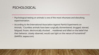 PSCHOLOGICAL
• Psychological testing on animals is one of the most inhumane and disturbing
experimentation.
• According to the International Association Against Painful Experiments on
Animals, “Countless animals have been surgically dismembered, drugged, starved,
fatigued, frozen, electronically shocked … maddened and killed on the belief that
their behavior, closely observed, would cast light on the nature of humankind!”
(IAAPEA, iaapea.com).
 