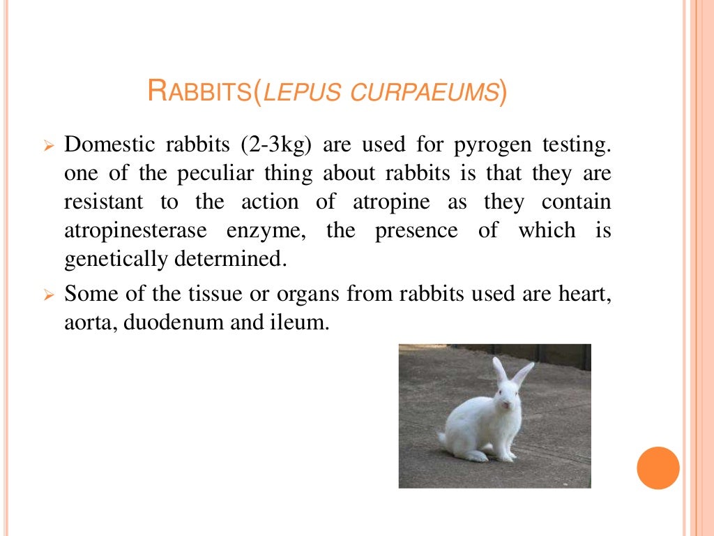 Animal experiments