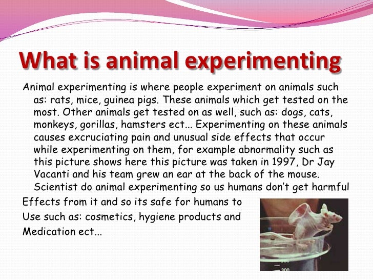 Animal experiments