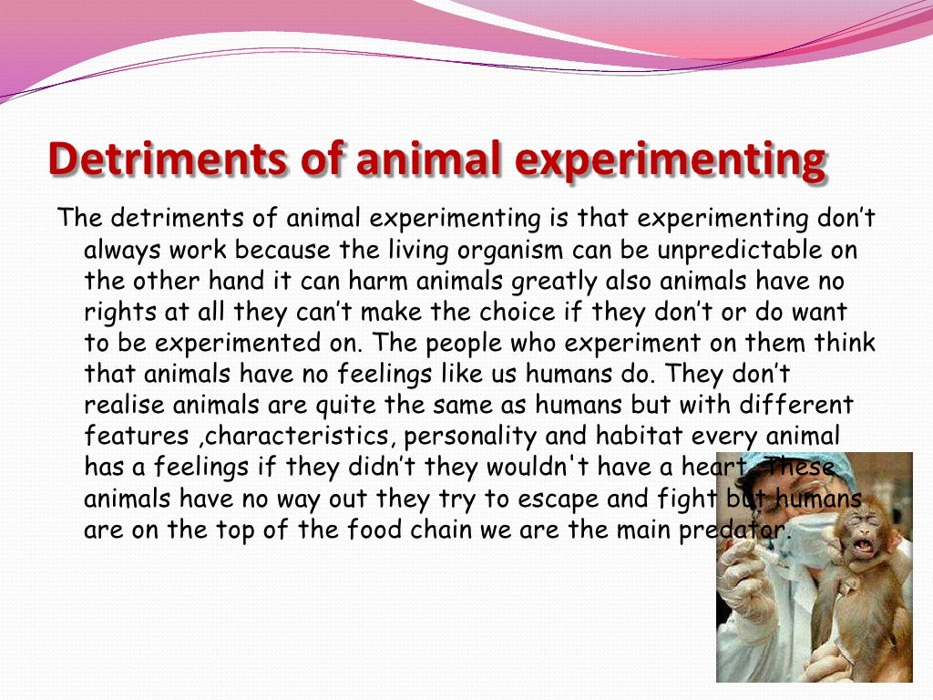 Animal experiments