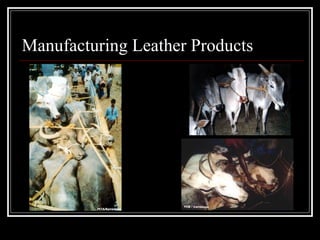 Manufacturing Leather Products 