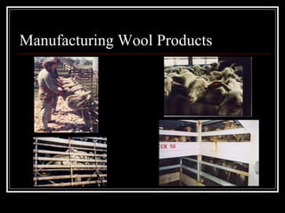 Manufacturing Wool Products 