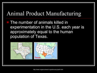 Animal Product Manufacturing The number of animals killed in experimentation in the U.S. each year is approximately equal to the human population of Texas.  http://www.veganoutreach.org/advocacy/path.html 