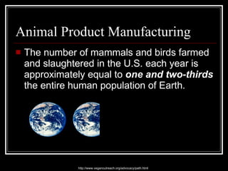 Animal Product Manufacturing The number of mammals and birds farmed and slaughtered in the U.S. each year is approximately equal to  one and two-thirds  the entire human population of Earth.  http://www.veganoutreach.org/advocacy/path.html 