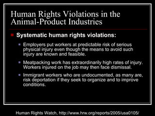 Systematic human rights violations: Employers put workers at predictable risk of serious physical injury even though the means to avoid such injury are known and feasible. Meatpacking work has extraordinarily high rates of injury. Workers injured on the job may then face dismissal. Immigrant workers who are undocumented, as many are, risk deportation if they seek to organize and to improve conditions. Human Rights Violations in the Animal-Product Industries Human Rights Watch, http://www.hrw.org/reports/2005/usa0105/ 