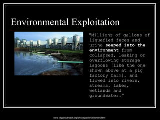 Environmental Exploitation “ Millions of gallons of liquefied feces and urine  seeped into the environment  from collapsed, leaking or overflowing storage lagoons [like the one shown above at a pig factory farm], and flowed into rivers, streams, lakes, wetlands and groundwater.” www.veganoutreach.org/whyvegan/environment.html 