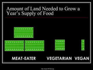 Amount of Land Needed to Grow a Year’s Supply of Food MEAT-EATER VEGETARIAN VEGAN http://www.PETA2.org 