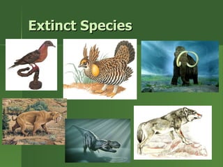 Extinct Species 
