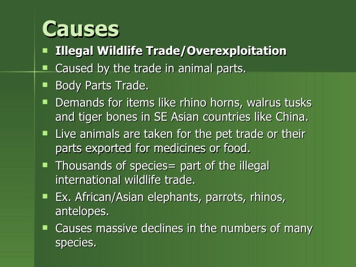 Animal Extinctionand Endangerment