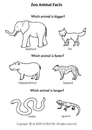 Zoo Animal Facts


           Which animal is bigger?




      elephant                           fox

           Which animal is faster?




 hippopotamus                        leopard

          Which animal is longer?




         snake                     iguana

Copyright c by KIZCLUB.COM. All rights reserved.