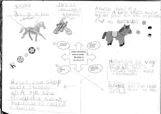 Class 2 Learning Log  Animal Fact Files 