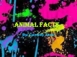 Animal Facts
  By: Cassidy Zunti
 