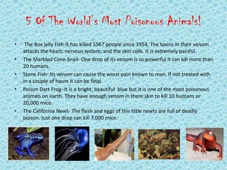 5 Of The World’s Most Poisonous Animals!
•    The Box jelly Fish-It has killed 5567 people since 1954. The toxins in their venom
    attacks the heart, nervous system, and the skin cells. It is extremely painful.
•   The Marbled Cone Snail- One drop of its venom is so powerful it can kill more than
    20 humans.
•   Stone Fish- Its venom can cause the worst pain known to man. If not treated with
    in a couple of hours it can be fatal.
•   Poison Dart Frog- It is a bright, beautiful blue but it is one of the most poisonous
    animals on earth. They have enough venom in there skin to kill 10 humans or
    20,000 mice.
•   The California Newt- The flesh and eggs of this little newts are full of deadly
    poison. Just one drop can kill 7,000 mice.
 