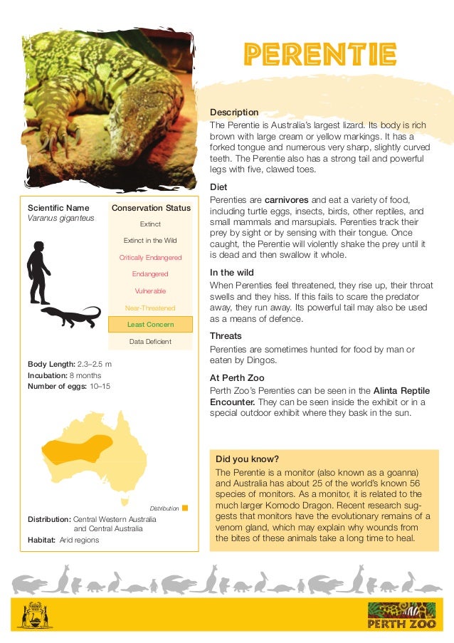animal fact sheets animal fact sheets