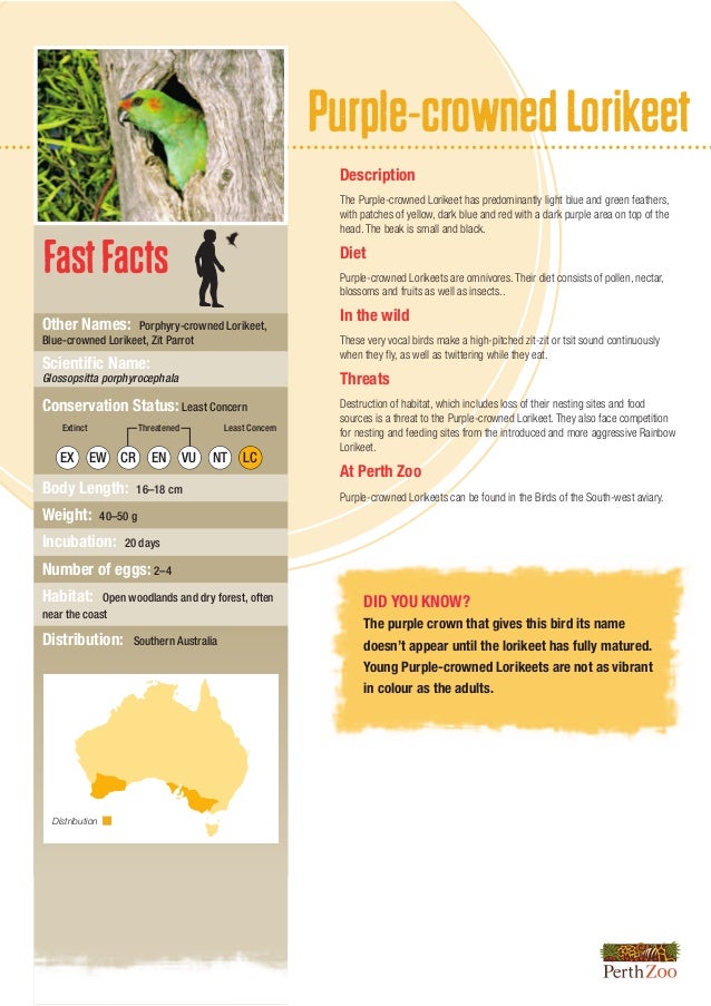 animal fact sheets animal fact sheets