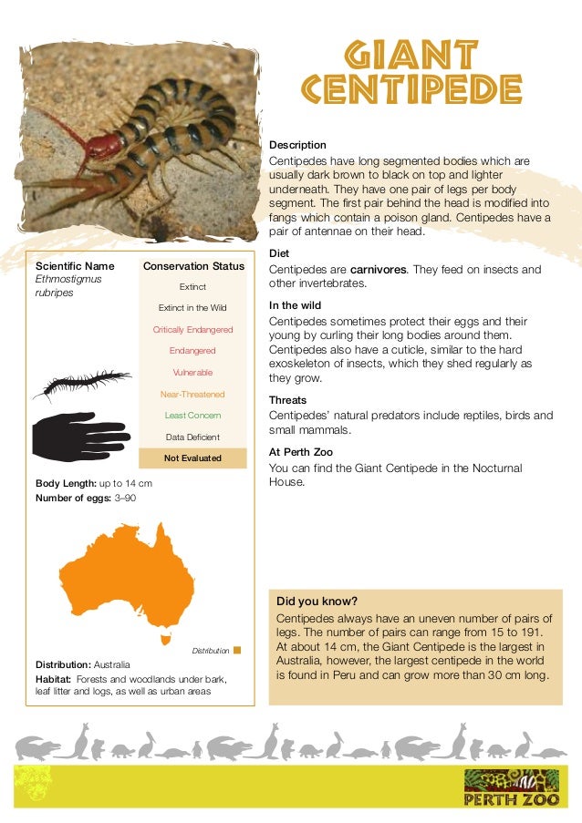animal fact sheets 7 638 jpg cb 1452080698 animal fact sheets