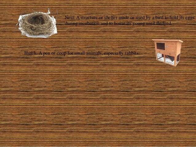 Farm Animal Family and Farm areas