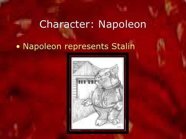 if comrade napoleon says it it must be right