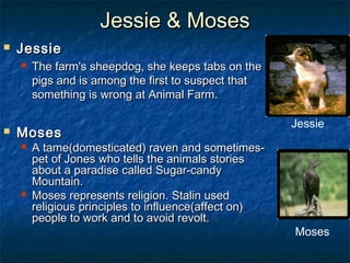 Jessie & Moses
   Jessie
       The farm's sheepdog, she keeps tabs on the
        pigs and is among the first to suspect that
        something is wrong at Animal Farm.

                                                       Jessie
   Moses     
       A tame(domesticated) raven and sometimes-
        pet of Jones who tells the animals stories
        about a paradise called Sugar-candy
        Mountain.
       Moses represents religion. Stalin used
        religious principles to influence(affect on)
        people to work and to avoid revolt.
                                                       Moses
 