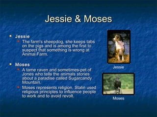 Jessie & Moses




Jessie
 The farm's sheepdog, she keeps tabs
on the pigs and is among the first to
suspect that something is wrong at
Animal Farm.
Moses    
 A tame raven and sometimes-pet of
Jones who tells the animals stories
about a paradise called Sugarcandy
Mountain.
 Moses represents religion. Stalin used
religious principles to influence people
to work and to avoid revolt.

Jessie

Moses

 