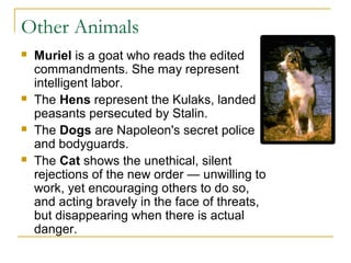 Other Animals
 Muriel is a goat who reads the edited
commandments. She may represent
intelligent labor.
 The Hens represent the Kulaks, landed
peasants persecuted by Stalin.
 The Dogs are Napoleon's secret police
and bodyguards.
 The Cat shows the unethical, silent
rejections of the new order — unwilling to
work, yet encouraging others to do so,
and acting bravely in the face of threats,
but disappearing when there is actual
danger.
 